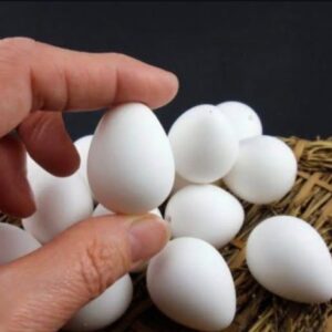 Snowflake Eggs